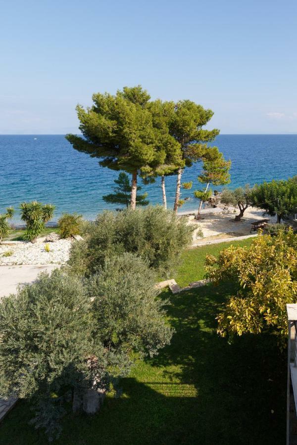 Into The Blue Villa Arkadiko Chorio Exterior photo